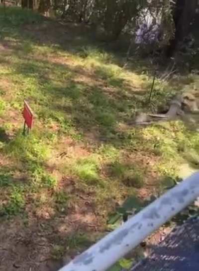 Get outta here!