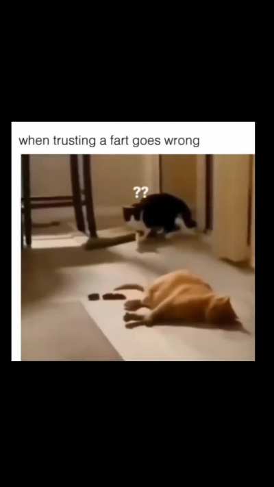 Pretty wrong...