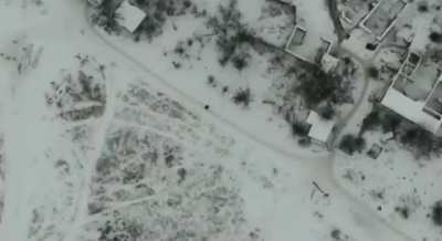 Russian commander killed by drone dropped grenade