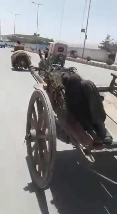 Tassla Autopilot