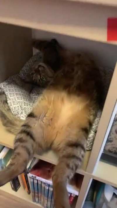 Watcha doin&rsquo; there?