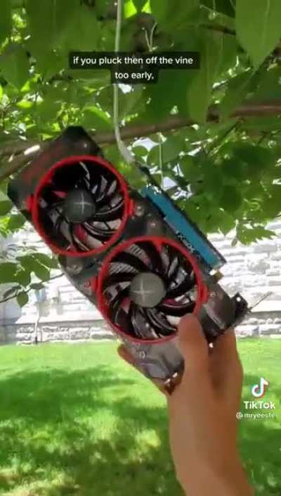How to Grow Graphics Cards