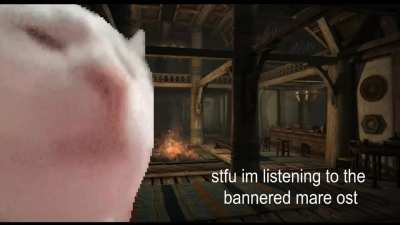 stfu im listening to the bannered mare ost by jeremy soule
