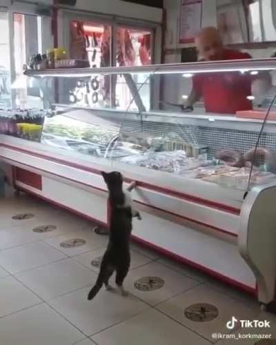 "thank you sir"