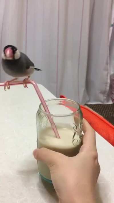 "Your drink is my playground now"
