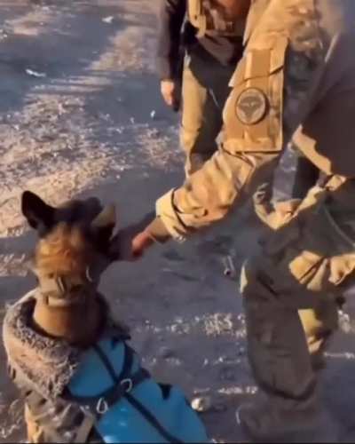 An ISOF K9 Dog named Hero was awarded a bravery medal by the international collision for helping locate Abu Ubaida in the Hamrin Mountains, despite being attacked. 