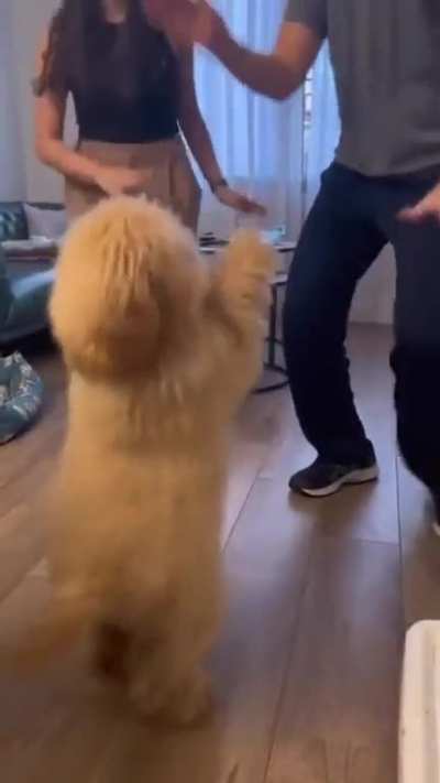 This is fun humans