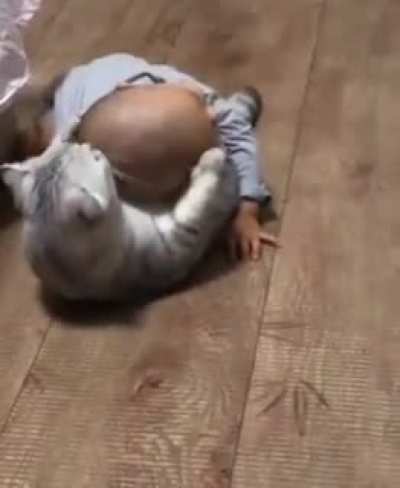 Kitty loves baby so much