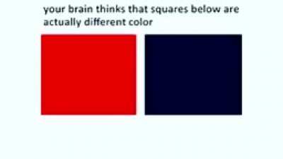 Dont Believe Me?