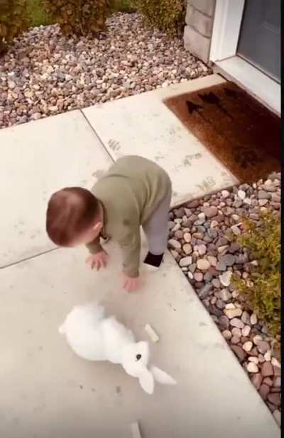 To not break the bunny