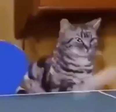 :3c