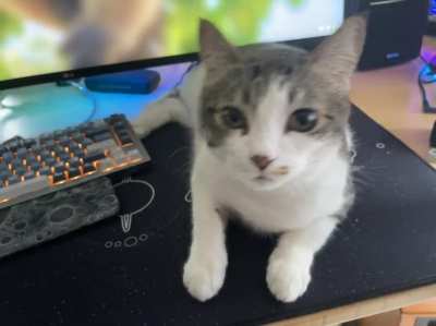 I present to you my work buddy informing me it&rsquo;s lunch time