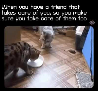 Cherish them