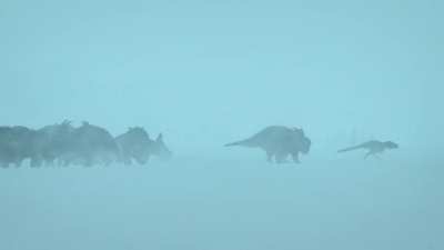 Prehistoric Planet basing a Nanuqsaurus and Pachyrhinosaurus hunt on wolves/bison is both a great analogue as both species have similar ecologies and demonstrates the nuanced relationship between predators and their prey.