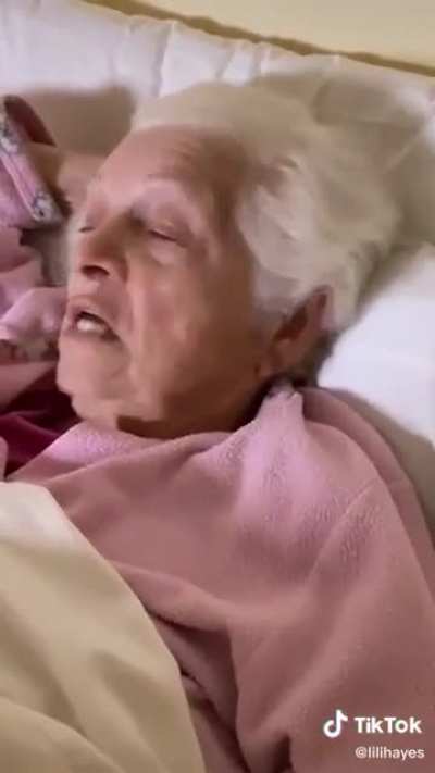 to say pumpkin pie