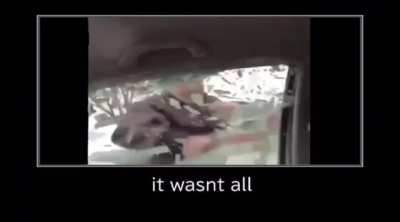 Think before you act
