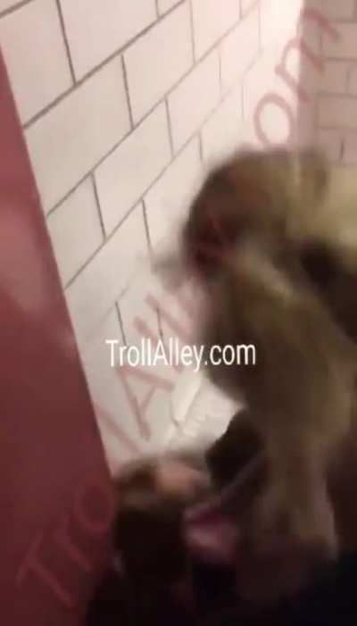 Girl fight ends in a vicious ass-kicking.