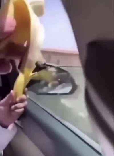 Diddy Kong wasn&rsquo;t in a good mood