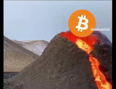 Bora BTC!