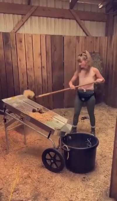 The “Shaker” my sister just got at work is used to separate the manure from saw dust when cleaning stalls.