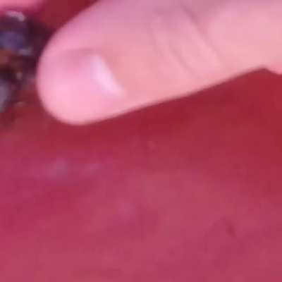 Sexo duro