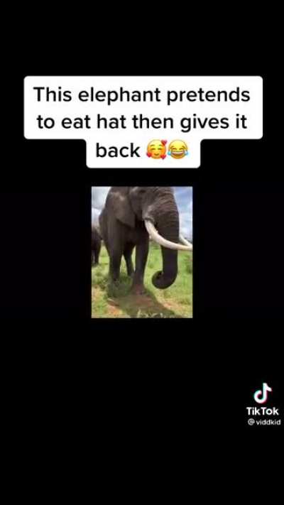 Sorry for weird cropping couldn&rsquo;t fix it
