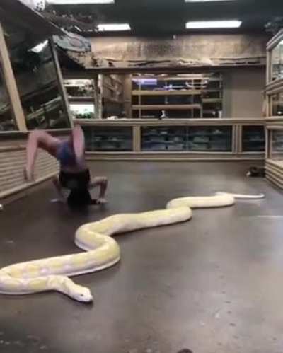 That anaconda don&rsquo;t want none.