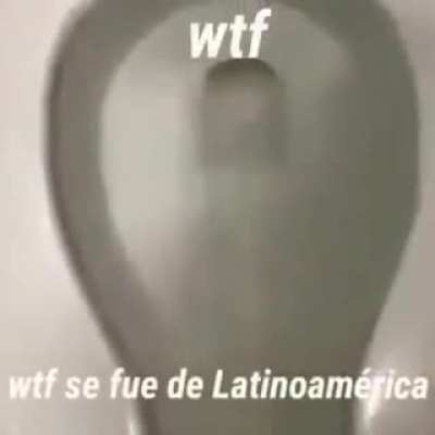 WTF