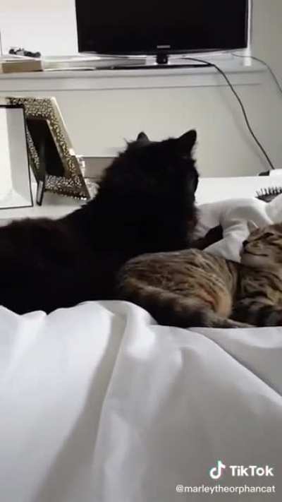 &ldquo;I love you...but not too much&rdquo;