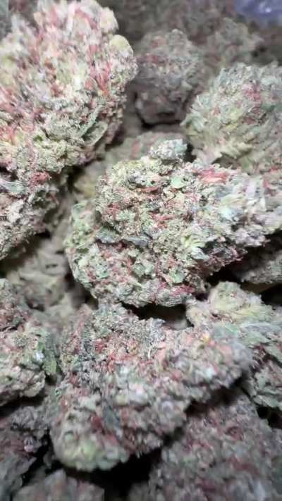 CHEMDAWG 🧪🐶