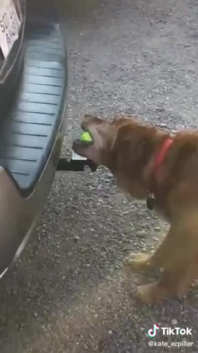 The forbidden ball
