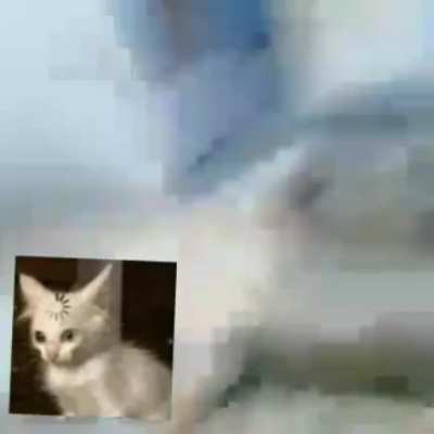 /tp