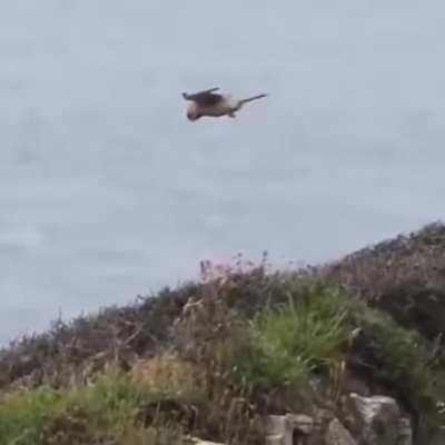 Government drone stuck at world border on the edge of the flat earth...