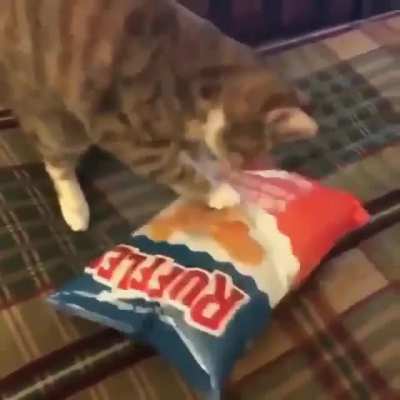 chips