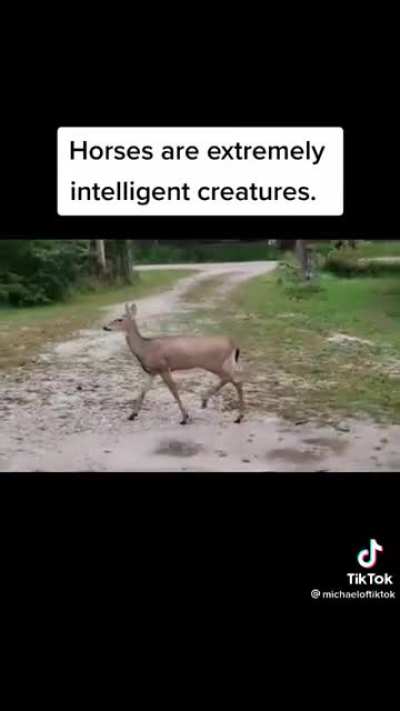 They are a very good biologist