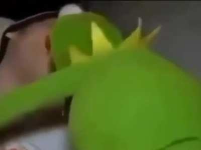 oh no , kermit