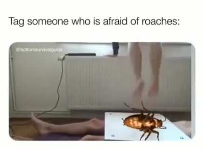r*ach 🤢😿👎👎