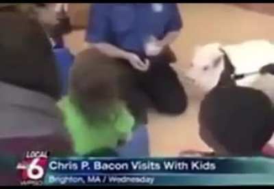 Chris p