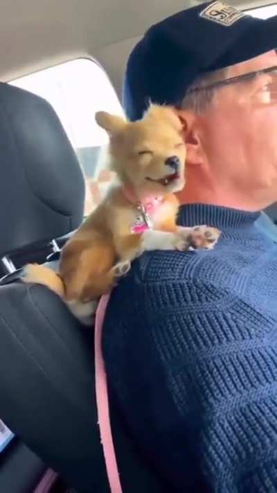 Family ride