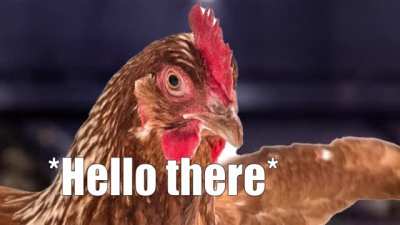 Henlo there!