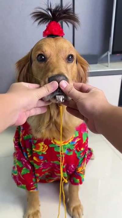 I don't want to party, they&rsquo;re forcing me