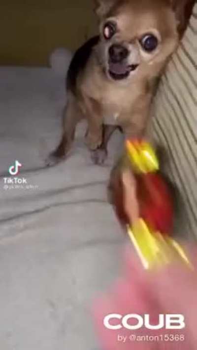 caramella