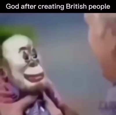 Heil spez