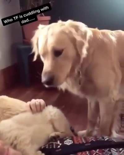 Betrayed