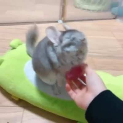 Brushy Brushy