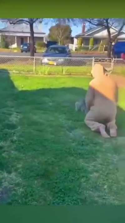 Awww