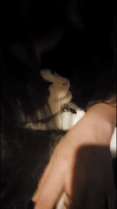 Hitcat gets her when she least expects it.