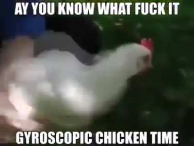 Gyroscopic chicken time