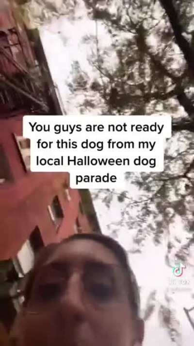 Pinhead&rsquo;s doggy