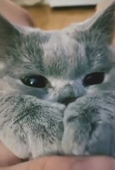 What lovely eyes there are...